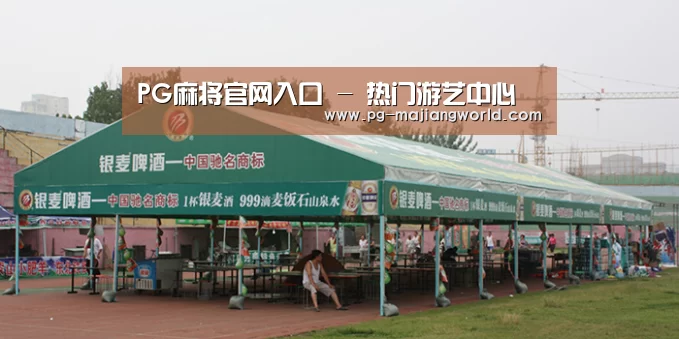 案例标题七