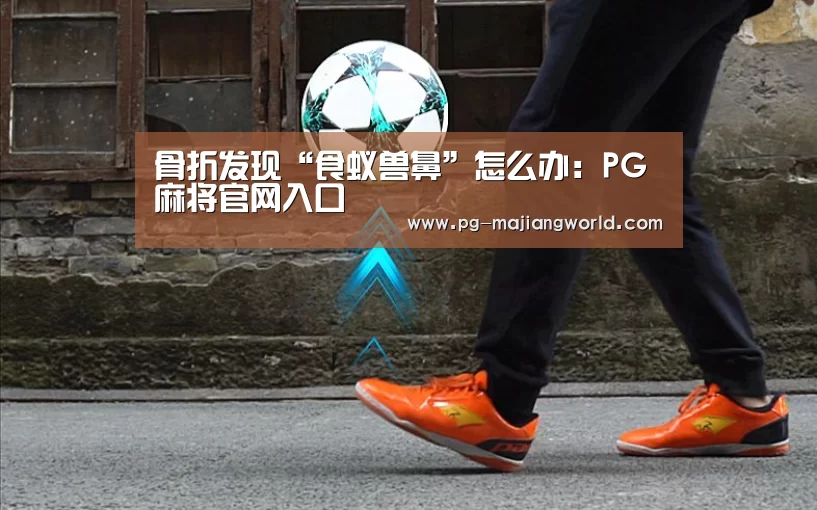 骨折发现“食蚁兽鼻”怎么办:PG麻将官网入口(图1) PG麻将官方入口