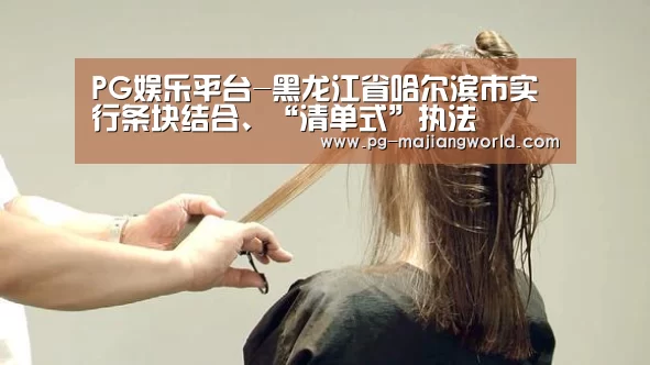 PG娱乐平台-黑龙江省哈尔滨市实行条块结合、“清单式”执法(图2) PG麻将官网入口